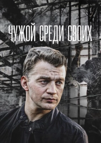 Чужой среди своих (2014)